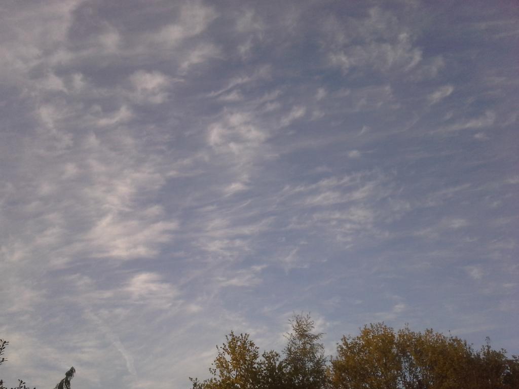 veenhj's tweet photo. Sierlijke cirrusbewolking boven #Steenwijk vanavond. @janvissersweer http://t.co/iabGPGhaJb