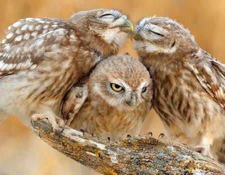 panhpouth's tweet photo. QUAND TON/TA MEILLEUR(E) POTE RAMÈNE SA MOITIÉ... http://t.co/2exmAX7gV7