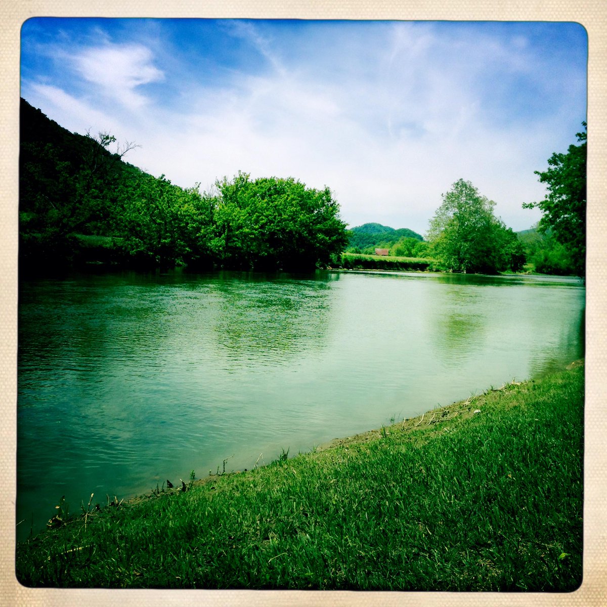 Dee Dee Taylor tweet media