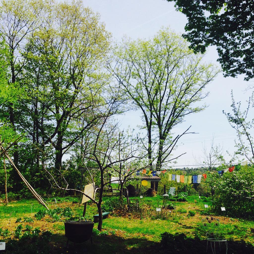 BobcatKatrina's tweet photo. Nexinscot Farm #maine #batescollege http://t.co/h8G8b3rovq