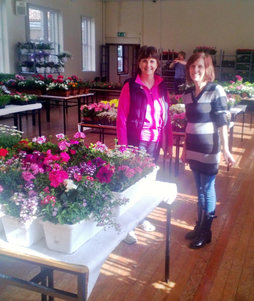 All's ready for Plant Sale at Our Lady's School #terenure on Sat 16May from 10am #templeogue #nure #tssabu