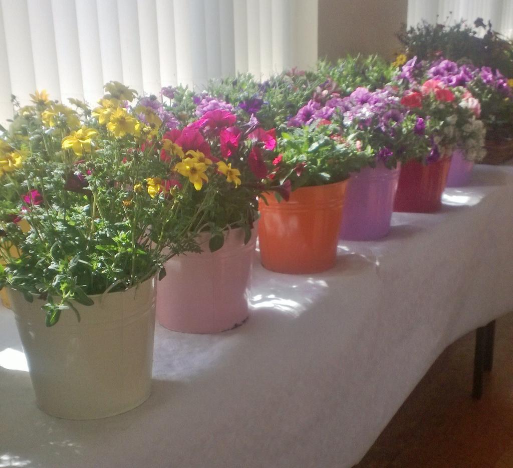olsparents's tweet photo. All's ready for Plant Sale at Our Lady's School #terenure on Sat 16May from 10am #templeogue #nure #tssabu http://t.co/UdbUQFHOhw