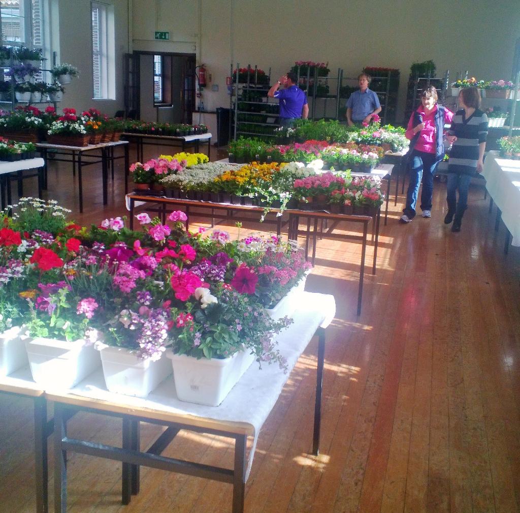 olsparents's tweet photo. All's ready for Plant Sale at Our Lady's School #terenure on Sat 16May from 10am #templeogue #nure #tssabu http://t.co/UdbUQFHOhw