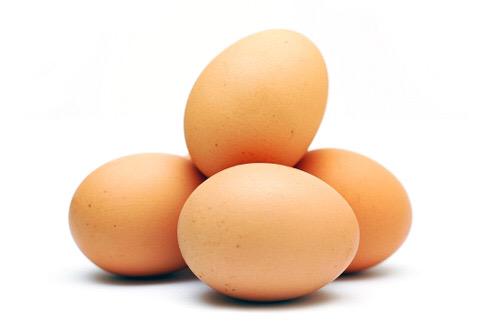 ProteinProtag tweet picture