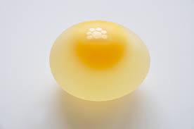 ProteinProtag tweet picture