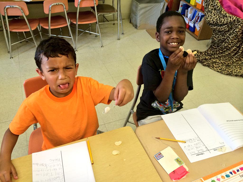 msvencusBCPS's tweet photo. Exploring parts of a seed with a Lima bean! #scientistsinthemaking @BCPSOutdoorSci @LoganElementary http://t.co/gVtzm8sP8W