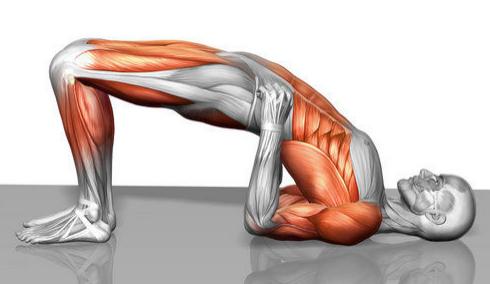 30dayfitness's tweet photo. #MuscleMadnessMay. #BridgeExercise - http://t.co/zPYNTqker5
Strengthens the Bum, back of the #Legs &amp; #Core
#30DFC http://t.co/FLSTw0X3kq