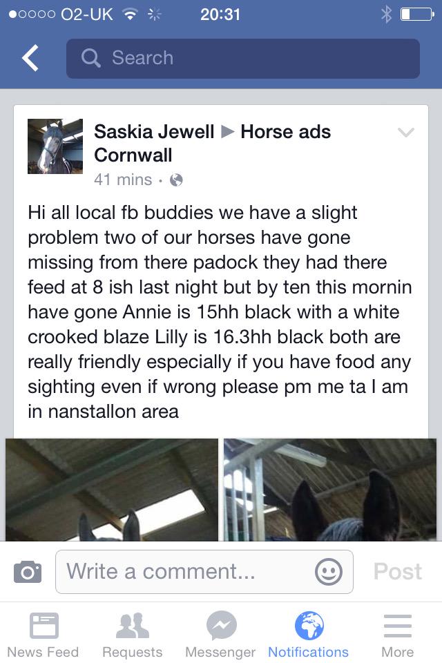 LostboxUK's tweet photo. RT @SueLeat: #horses missing please share @EquineHour  @HorseHour http://t.co/7lEwYolpCz