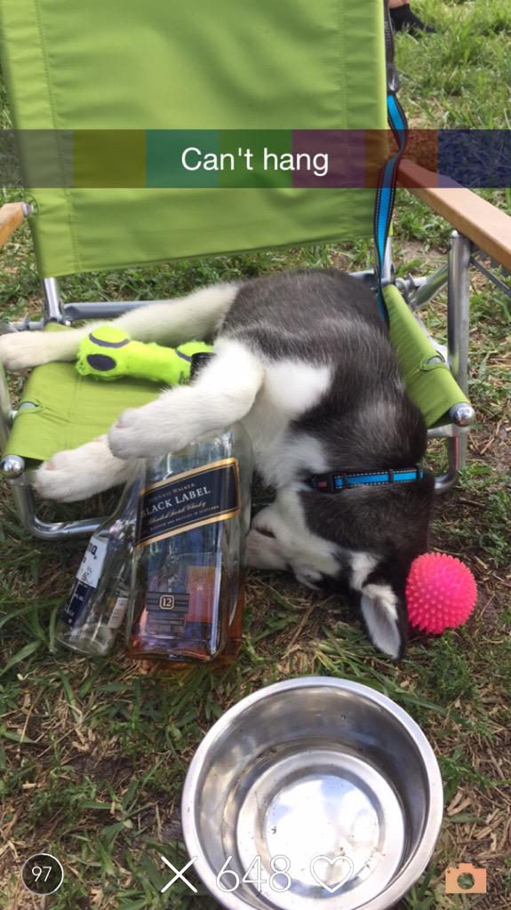 BestofYeti's tweet photo. Lights out http://t.co/RbMk2sfxSn