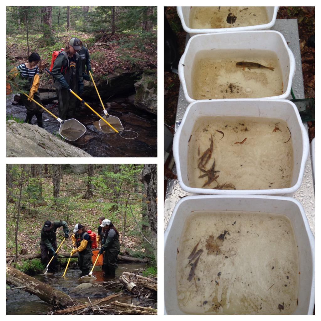 UWSummitCentre's tweet photo. Today, @envwaterloo students at the #wsce became electrofishing experts! http://t.co/L258pN5RKF
