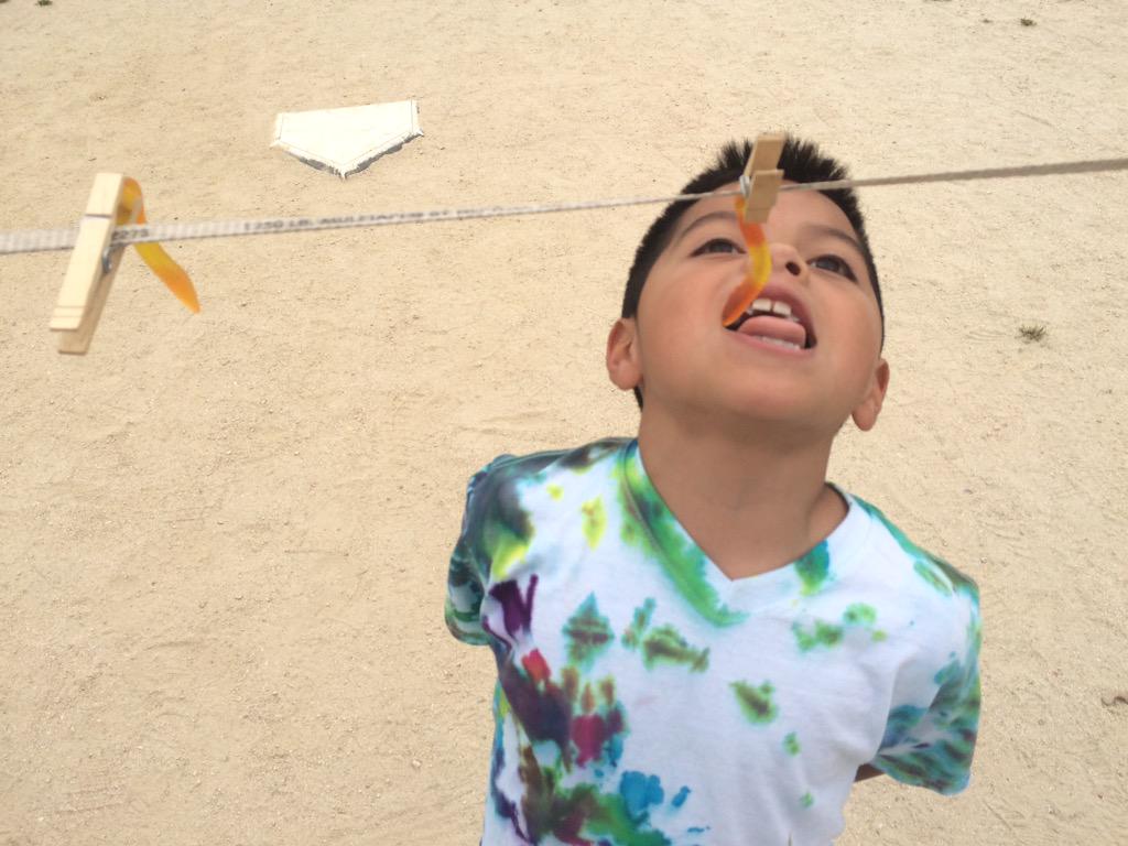 Ms. McKee's Class tweet media