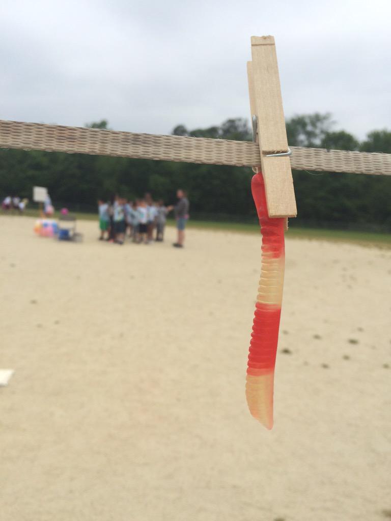 Ms. McKee's Class tweet media