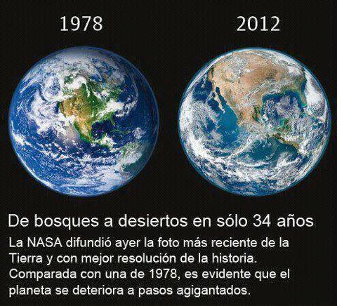 _Paisajes_'s tweet photo. Hijo mío, tú no llegaste a conocerlos pero cuando yo tenía tu edad había unas cosas llamadas árboles. http://t.co/s9VjZS47J3