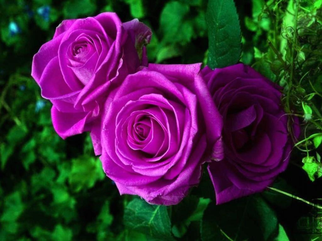Марк (@mysa8145) on Twitter photo 