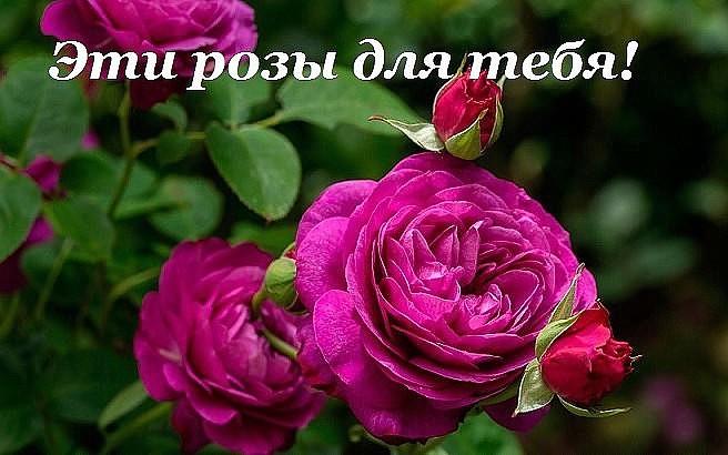 Марк (@mysa8145) on Twitter photo 