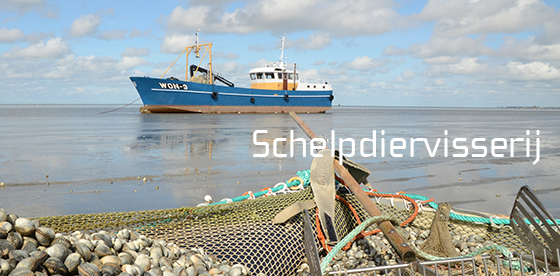 WaLTERmonitor's tweet photo. Thema Schelpdiervisserij nu online http://t.co/UBk2Cbop45 http://t.co/ZPjDsN8W1m