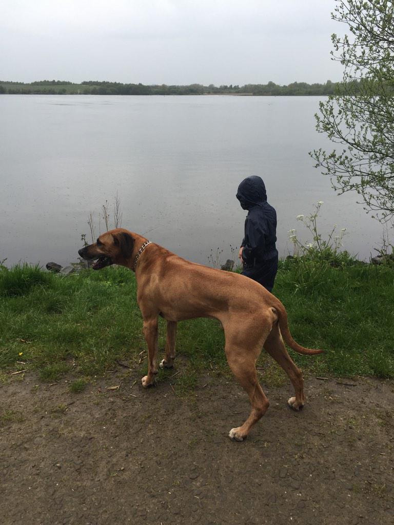 drnicnac83's tweet photo. Friday nights by Leigh Flash, shame it always starts raining as we pull up the car!! Beautiful views X http://t.co/h2kh68jdDb