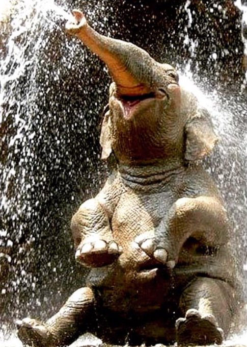The thought of finally be able to shower has me feeling like this! http://t.co/x6Qo6R2Jns<a href="/tag/mealprep"class="tags"><span>#mealprep</span></a>