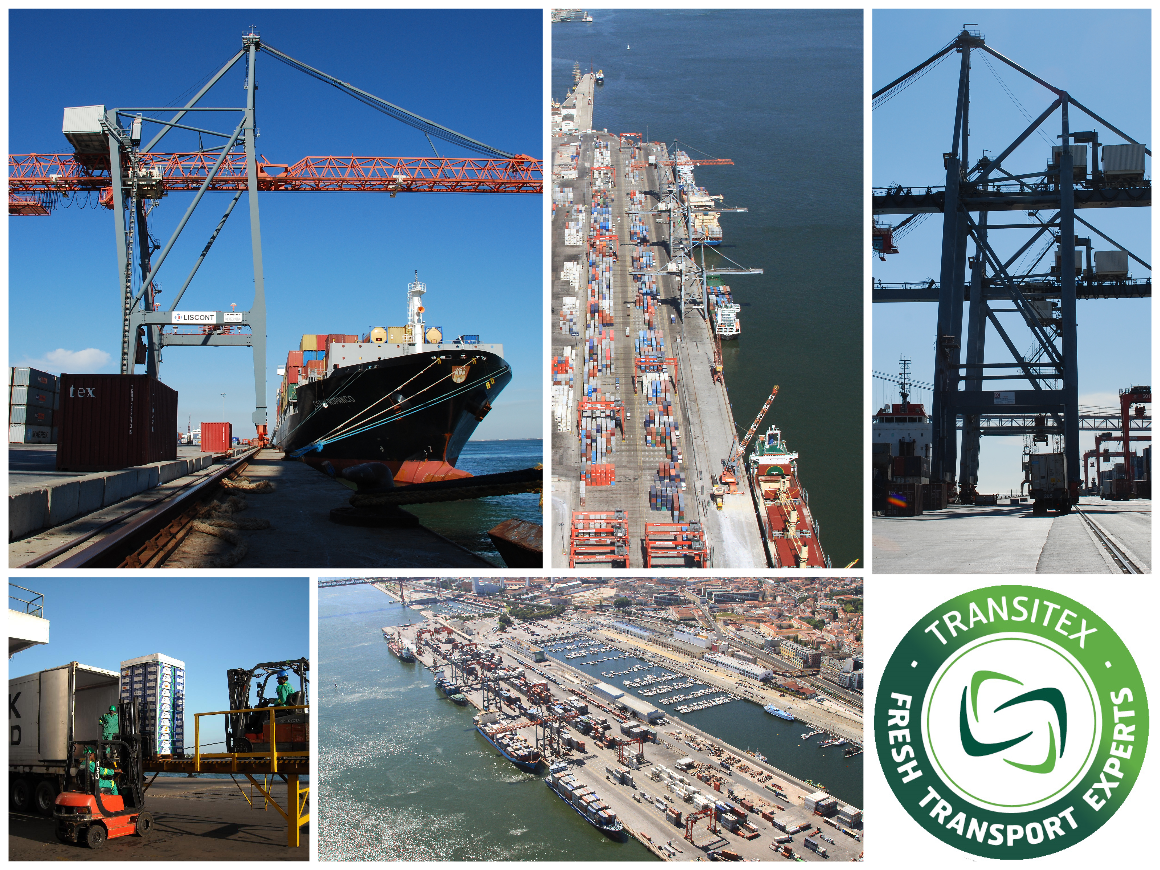 TransitexCol's tweet photo. Mas información en nuestro web site: 
http://t.co/bFex8nfiqL http://t.co/uTq14DtDRg