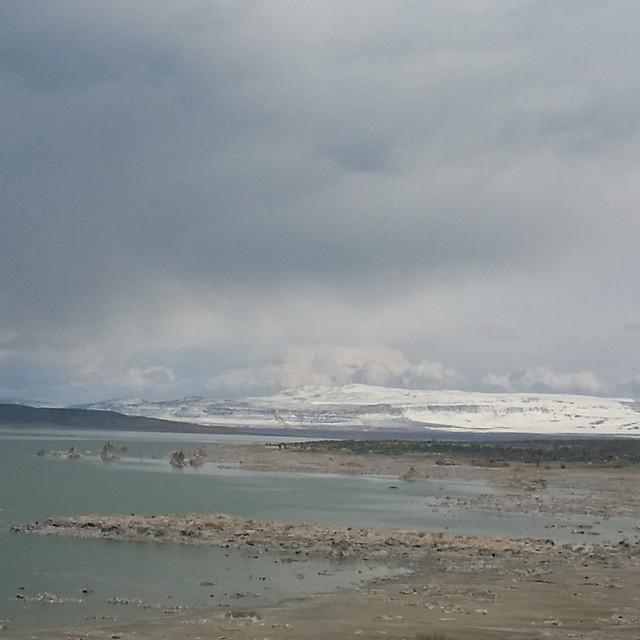 TheMountainLab tweet picture