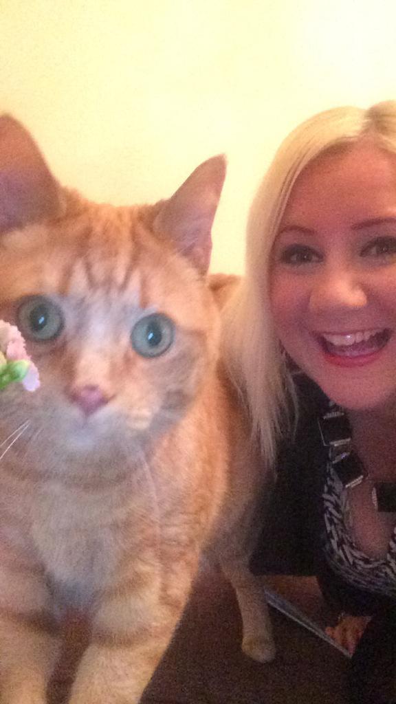 Lucysaxo's tweet photo. Oh hi! @ableek 🙌👌🐱 #catselfie http://t.co/RAImVG1T0B