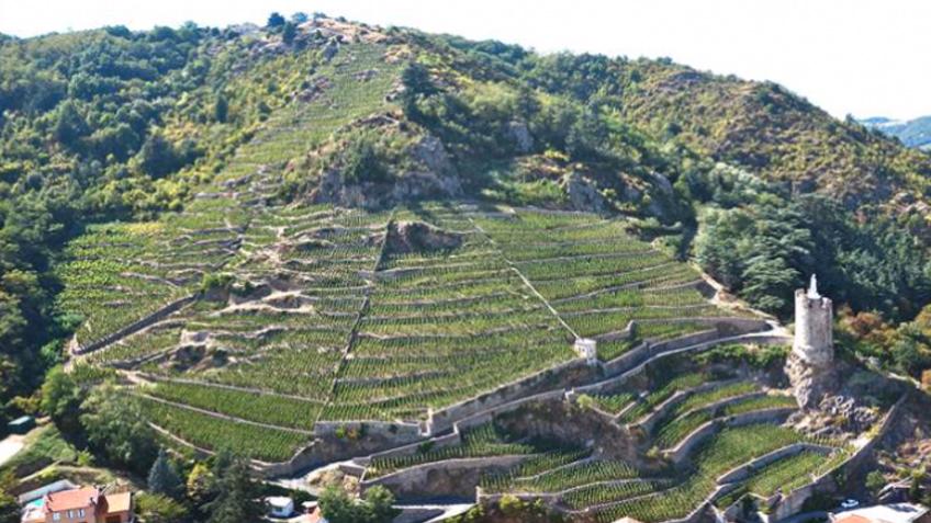 WineSpectator's tweet photo. Philippe Guigal, a master of the Northern Rhône, talks the art of #Syrah in this #video: http://t.co/JfoVYR0i2B http://t.co/h02e8OCqXu