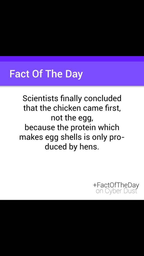 mydrspace's tweet photo. #Finally!!! The age old question has been solved!! We can rest easy know that the chicken did before the egg!! http://t.co/e2jElk0IQq