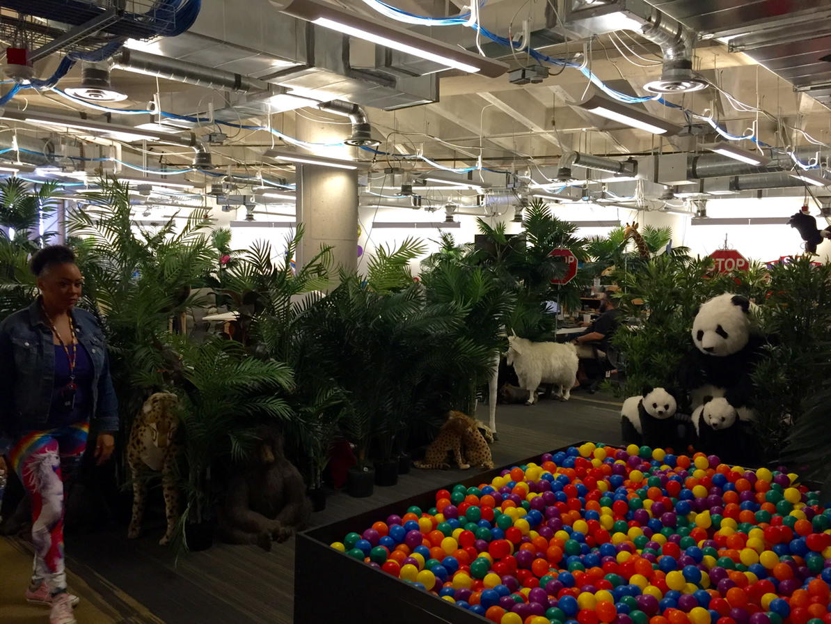 jodiontheweb's tweet image. I could definitely work in an environment like this! #teal #zappostour #teamkitten