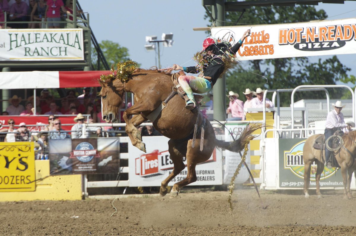 RedBluffRoundUp's tweet image. Friday Fun Day. #redbluffroundup "wild ride" Tyrel Larsen dressed up as @FallonTaylor3 
Photo credit Hubbell Photo