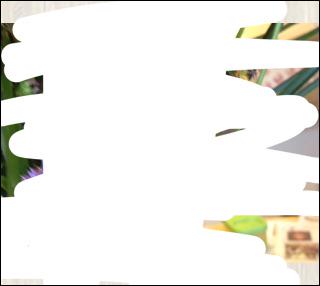 Nikki Dawson (@nikkidawson08) | Twitter