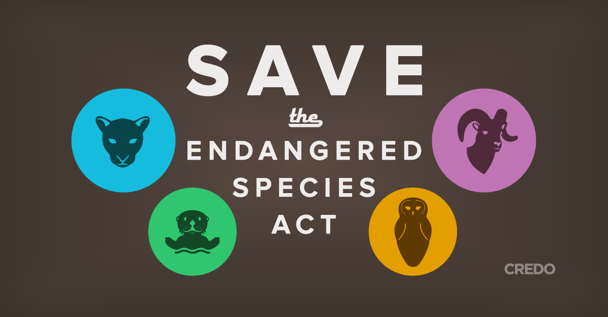 CREDOMobile's tweet photo. ACTION: Tell Congress to reject attempts to gut the Endangered Species Act. http://t.co/baJwJe5jiS http://t.co/mJBvgpLmwx