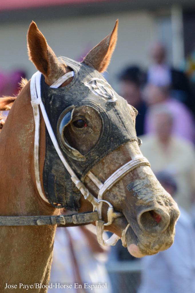 She's sound and eating...... It's always a NEXT "race"