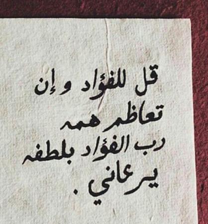 dd444sar's tweet photo. ثقوا بالله واتجهوا اليه فهو الحق المبين عز وجل ولا يخيب من رجاه 
#عبدالمحسن_الغامدي_قصاص_فزعتكم http://t.co/zAnuD2ihcV