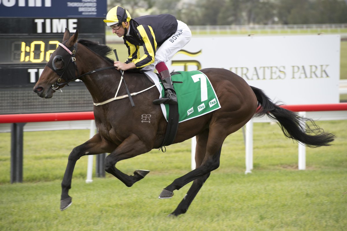 sconeraceclub's tweet photo. Peter & @PGsnowden trained Flippant wins R1 Pryde's Easifeed Woodlands Stakes L. @HugeBowman #sconeraces http://t.co/iqE2JxekII