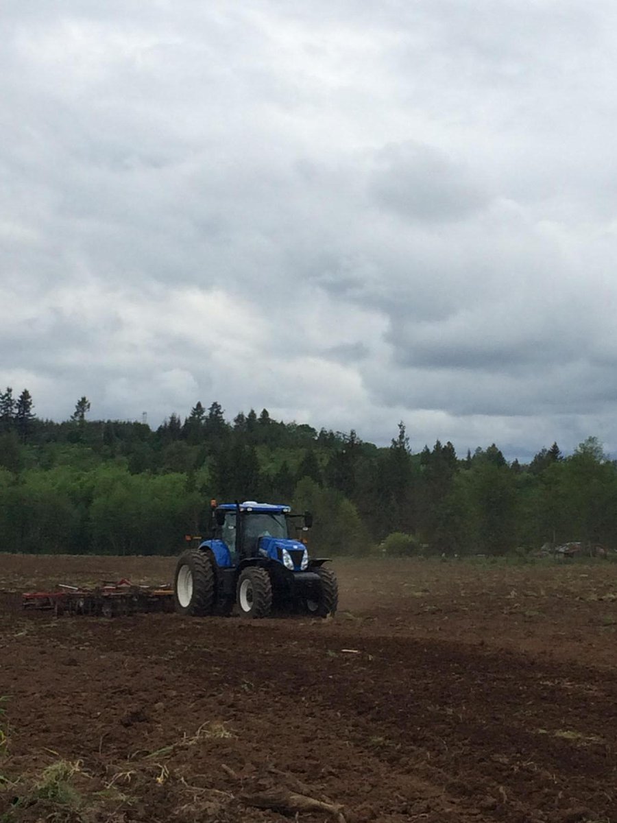 newhollandcolin's tweet image. Another solid demo of a @NHAgriculture #T7.270 #AutoCommand near #Chehalis, WA @BrimTractor