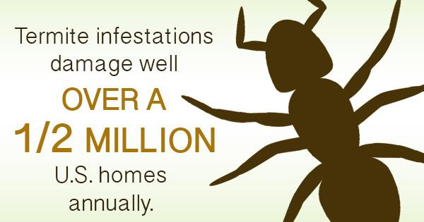Termite Infestations: The Hidden Danger That Lies Beneath the Surface. #pestcontrol #termites http://t.co/RhPsZebUkz http://t.co/qk5yPAc92H