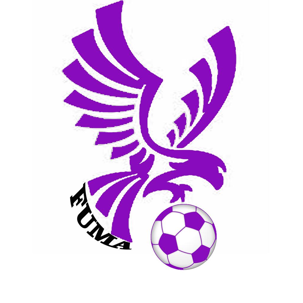 62 Koleksi Gambar Burung Elang Untuk Logo HD