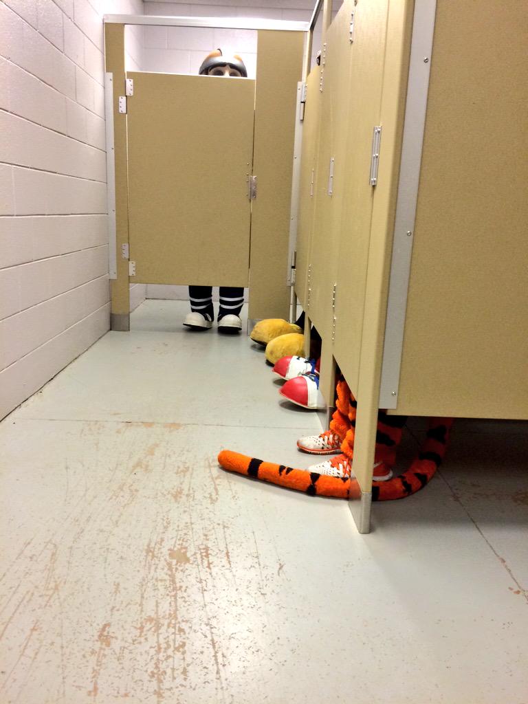ReedyRipIt's tweet photo. #MascotBathroomBreak @RelayForLife @Cocky2001 @TheTiger_CU @iam_Rowdy http://t.co/RuKfG52vQ7