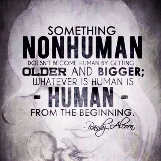 WretchedNetwork's tweet photo. Just some basic logic. http://t.co/VSfrU1GU8y #LifeisBest #abortion #prolife #prochoice #logic http://t.co/ZIknySFgNS