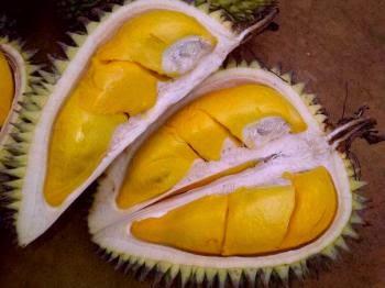 BeritaPartai's tweet photo. Durian Petruk Pasar Ngabul Jepara Terlezat di Dunia http://t.co/b6vwb3LWLS #muriadotco http://t.co/UUwyWgHIlL