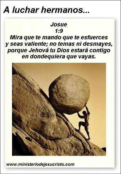 LincesPanama's tweet photo. Siempre inspirados en Dios🙏 http://t.co/alG4wo4hay
