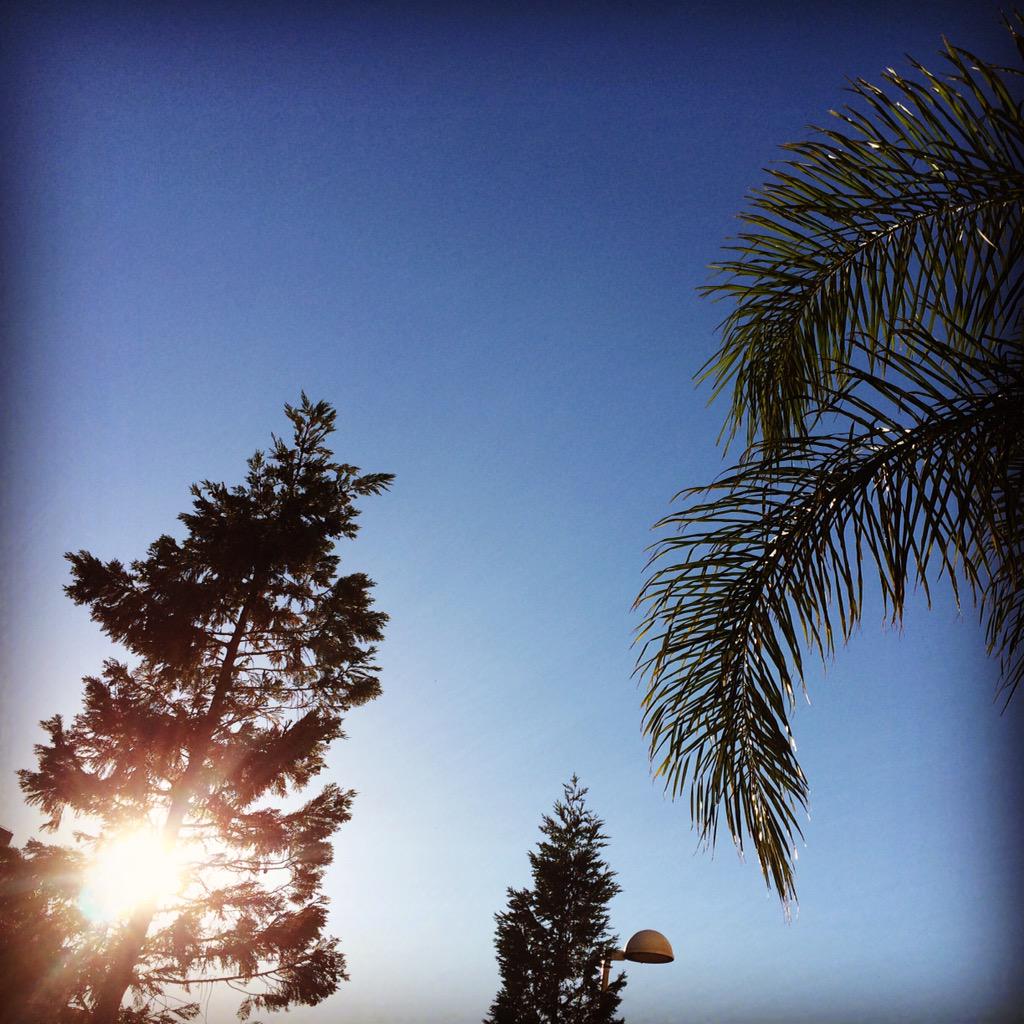 #Buenosdías !Despertar con este #cielo es un #privilegio !🌄☀️🌴 🌀🌀🌀🌀🌀🌀🌀🌀🌀🌀lifeloversbcn.com #palms #sunrise #sun