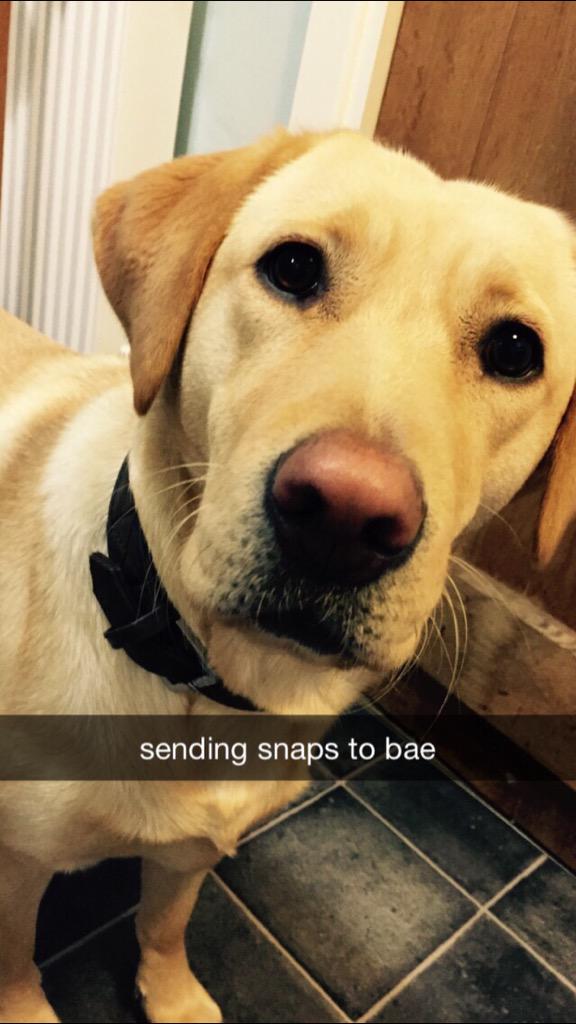 LiveComedySnaps's tweet photo. Sending snaps to your crush vs your friends http://t.co/I3LSUAwhvr