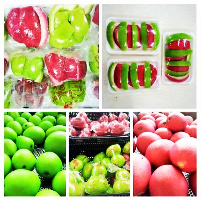 Dyla On Twitter Jambu Cameron Jambu Epal Jambu Jeruk Sesiapa Berminat Boleh Pm Whatapps 011 17656580 Dyla Http T Co Vy6kgjvdmx Twitter