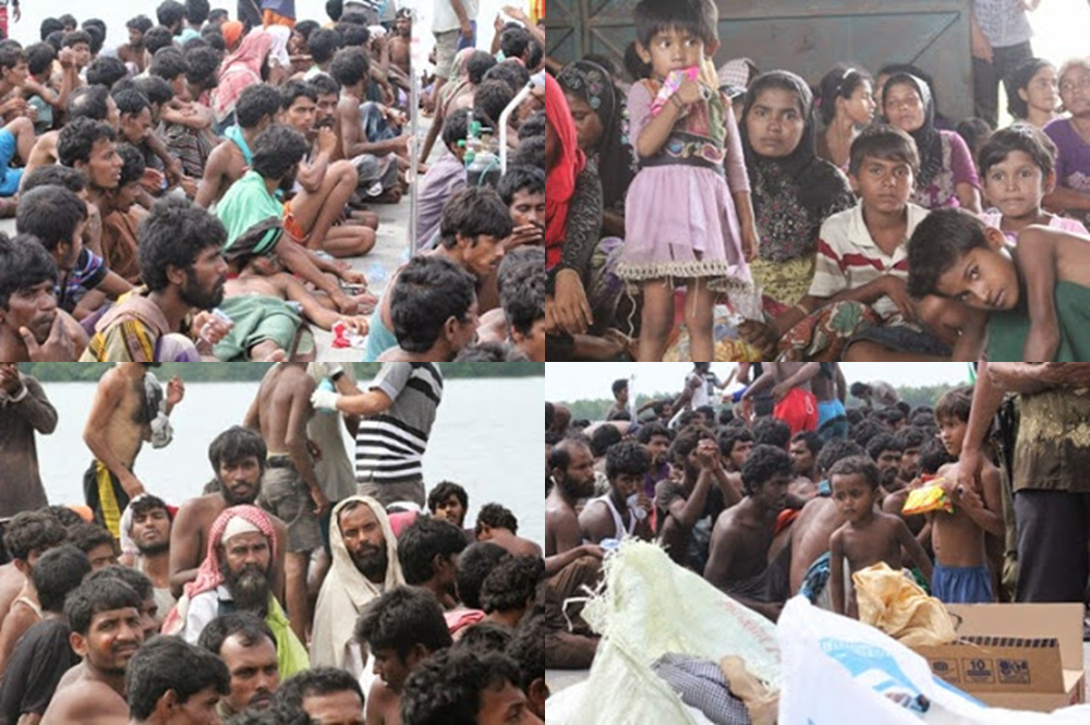 actforhumanity tweet media