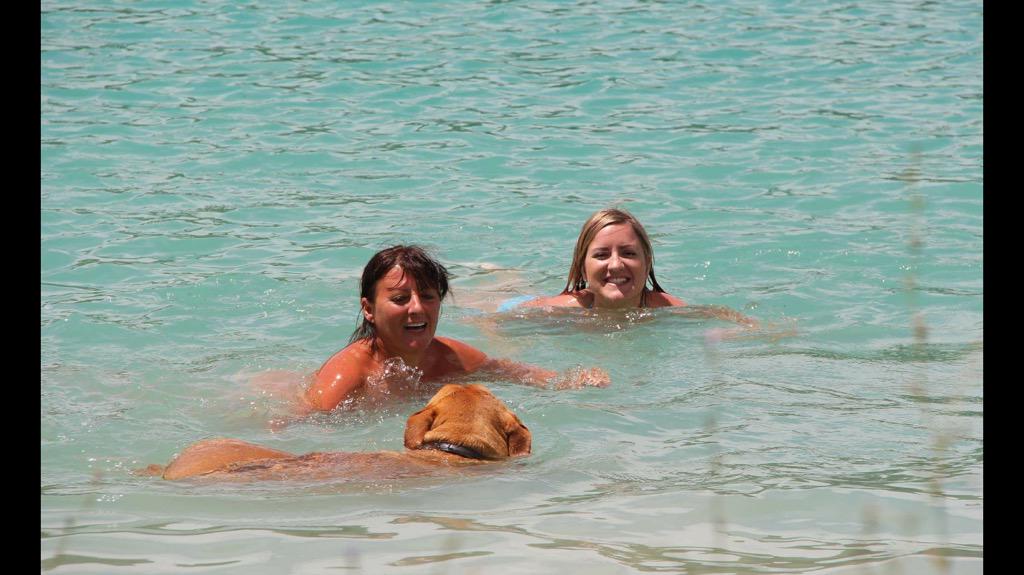 TuloulaB's tweet photo. Swimming in lake making sure they don't drown! #Italy http://t.co/u2jzjPNMLT