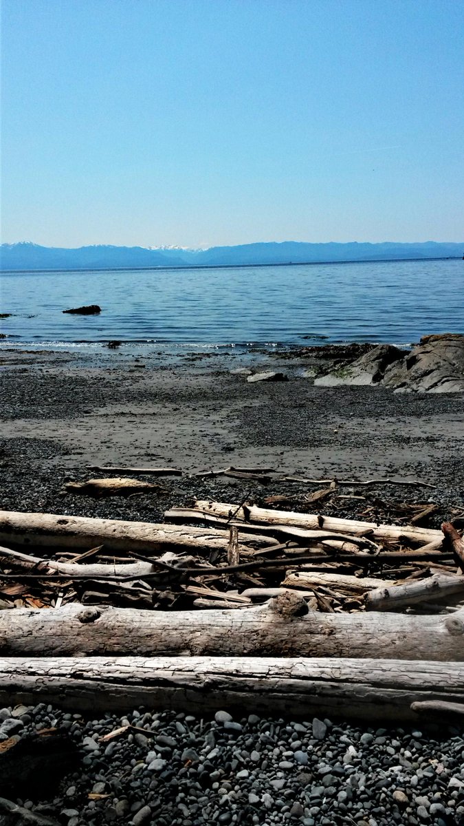 BKLounge9's tweet image. #First2Spring Road trip to Victoria, BC