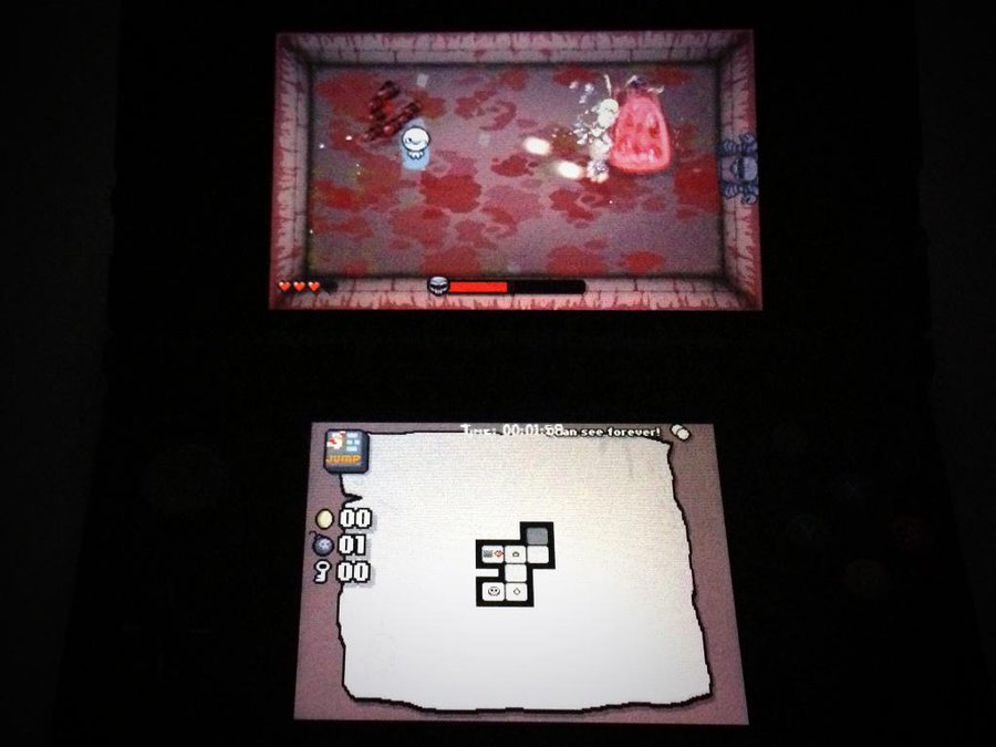 The Binding of Isaac 3ds.