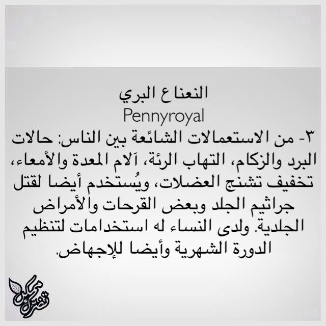 MomkenTodorak's tweet photo. #ممكن_تضرك
زيت النعناع البري ٣

#ممكن_تضرك #الأعشاب #صحتك #الطب_الشعبي http://t.co/P21m6iaIJm