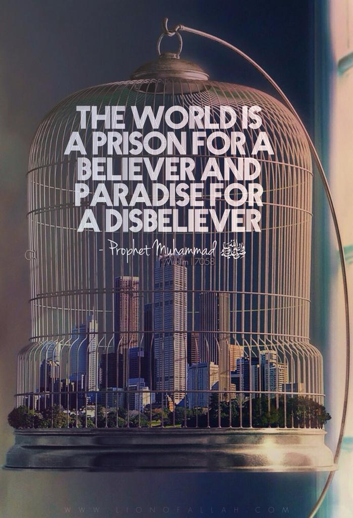 FUYO (@fuyoproduction) on Twitter photo 